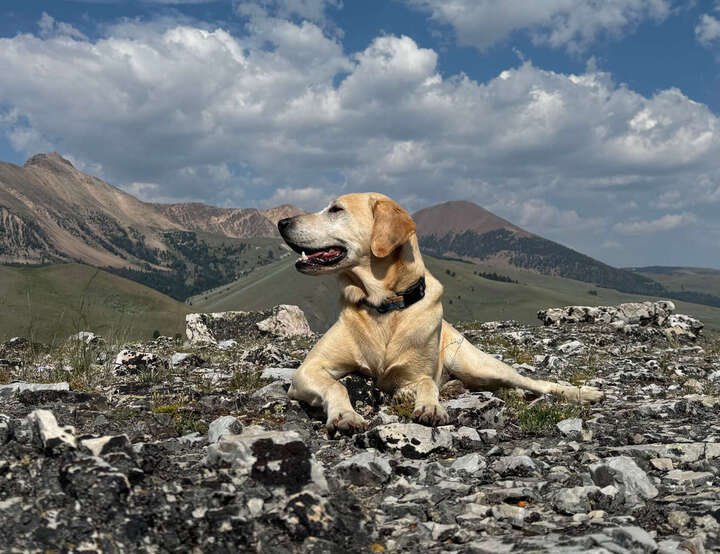 Hamilton, Montana, United States