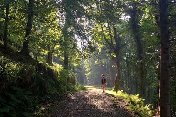 Belfast, Northern Ireland, United Kingdom