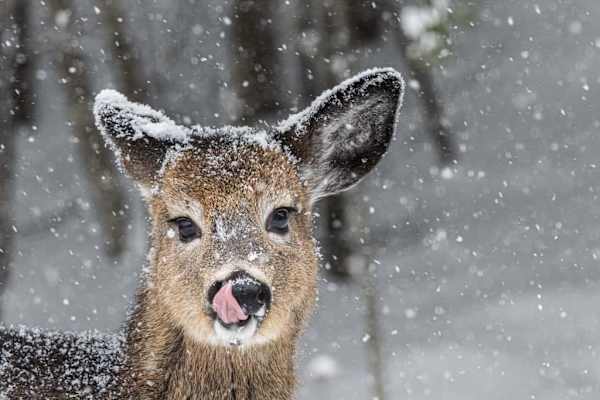 Georgeville, Quebec, Canada