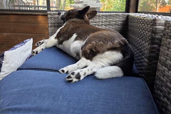 Madison, Wisconsin, United States