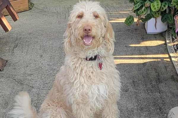 Houston, Pennsylvania, United States