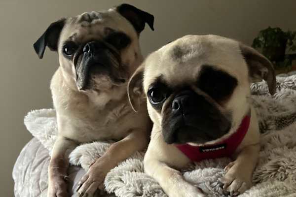 Annapolis, Maryland, United States