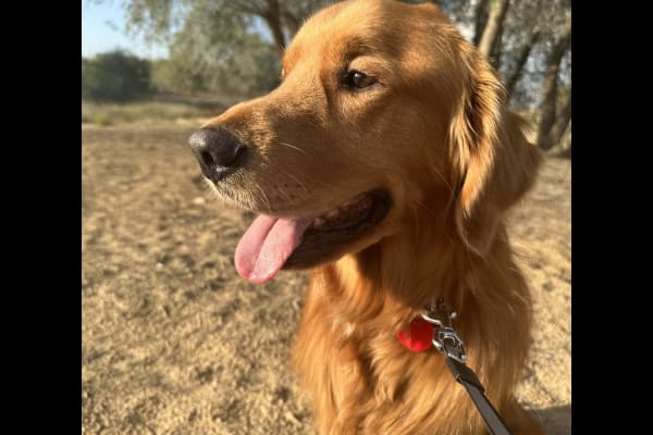 Dubai, Dubai, United Arab Emirates