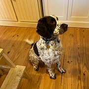 Hackett, Australian Capital Territory, Australia