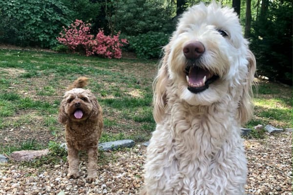 Decatur, Georgia, United States