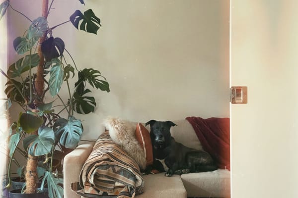 Canberra, Australian Capital Territory, Australia