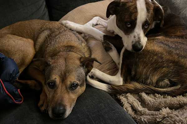 Salt Lake City, Utah, United States