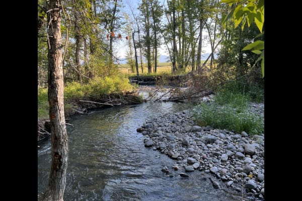 Bozeman, Montana, United States