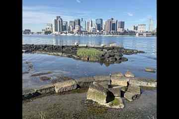 Boston,Massachusetts,United States