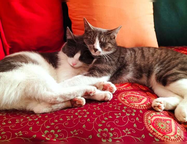 Roccastrada, Toscana, Italy