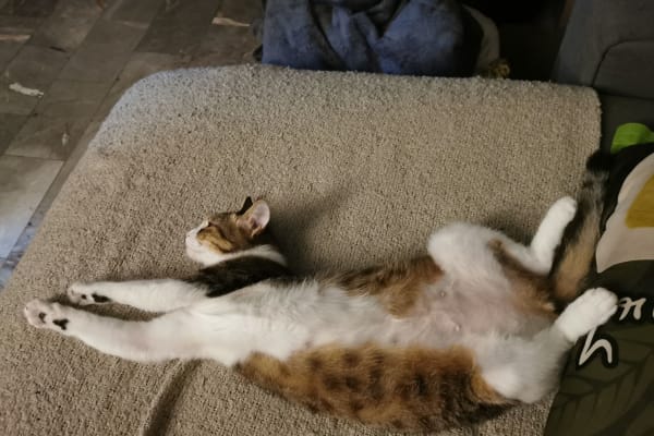 Bangkok, Bangkok, Thailand