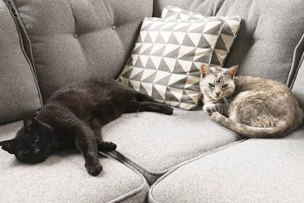 Eksaarde, Flanders, Belgium