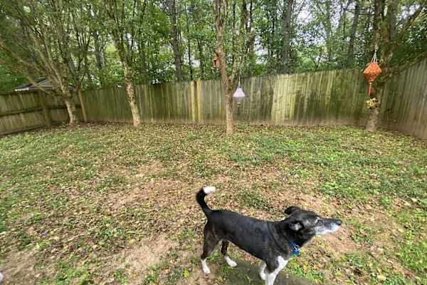 Atlanta, Georgia, United States