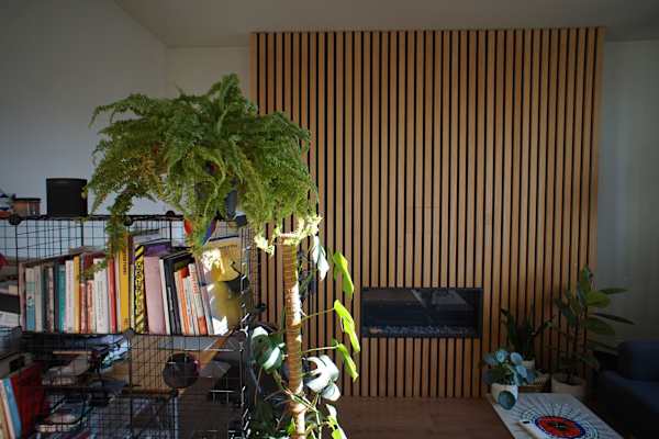 Brussels, Brussels Capital, Belgium