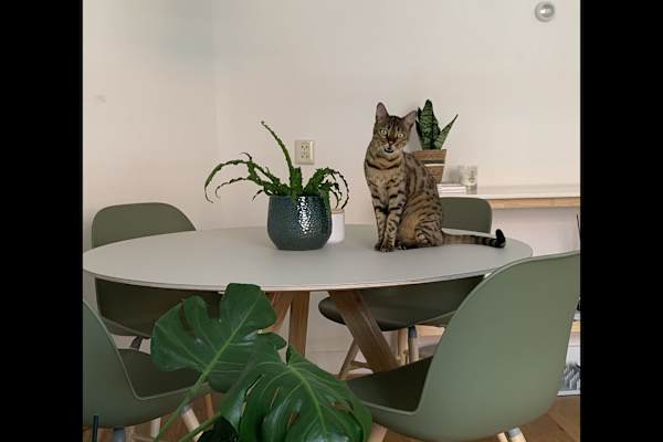 Amsterdam, North Holland, Netherlands