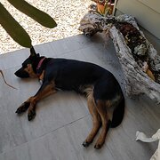 Moruya, Australian Capital Territory, Australia