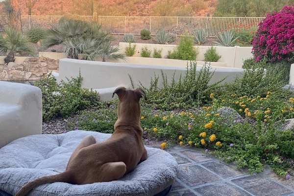 Phoenix, Arizona, United States