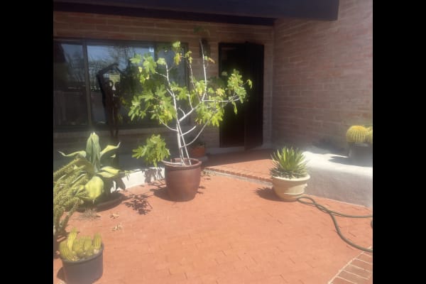 Tucson, Arizona, United States