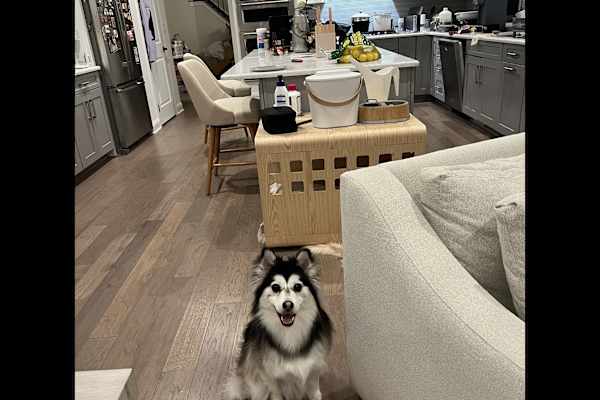 Ann Arbor, Michigan, United States