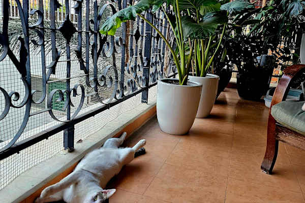 Phnom Penh, Phnom Penh, Cambodia