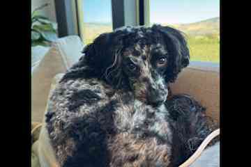 Oliver,British Columbia,Canada