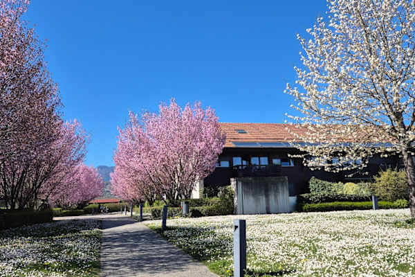 Genève, Geneva, Switzerland