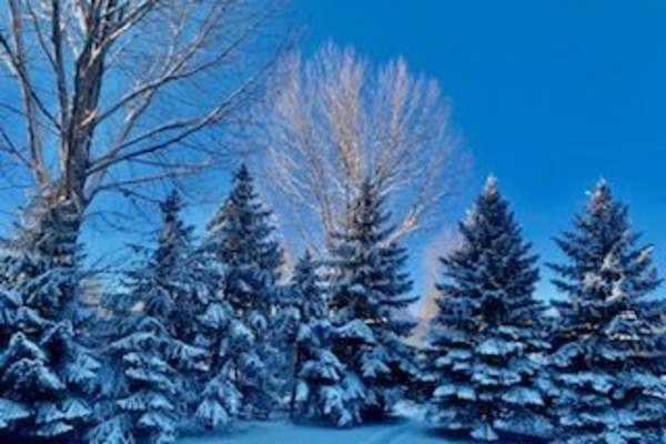 Vernal, Utah, United States