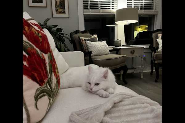 Ocean Isle Beach, North Carolina, United States