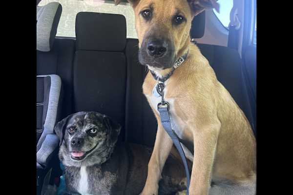 Campbell River, British Columbia, Canada