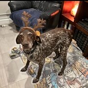 Canberra, Australian Capital Territory, Australia