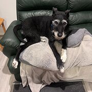 Banks, Australian Capital Territory, Australia