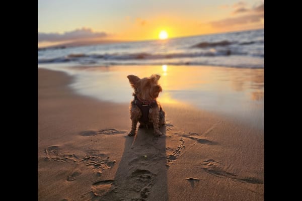 Kīhei, Hawaii, United States