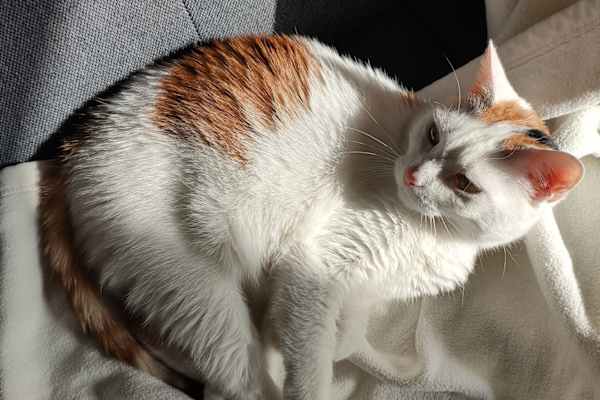 Basel, Basel-City, Switzerland