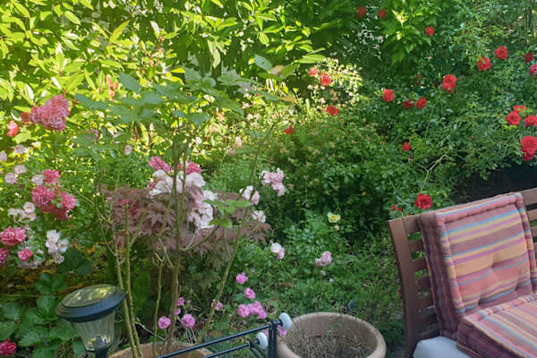 Thonon-les-Bains, Auvergne-Rhône-Alpes, France