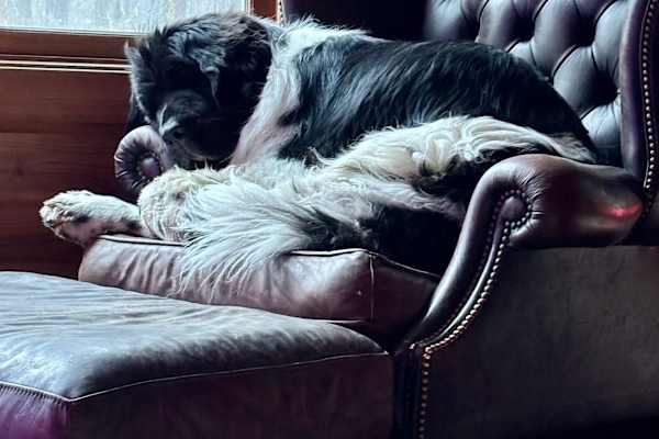 Polson, Montana, United States