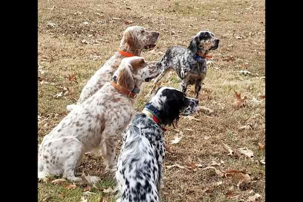 Providence Forge, Virginia, United States