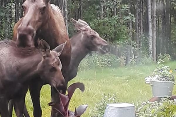 Fairbanks, Alaska, United States