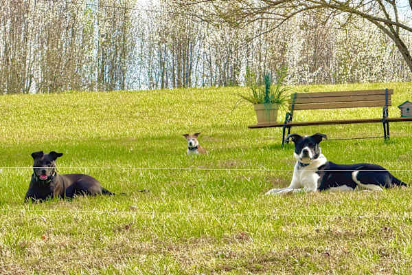 Columbia, Tennessee, United States