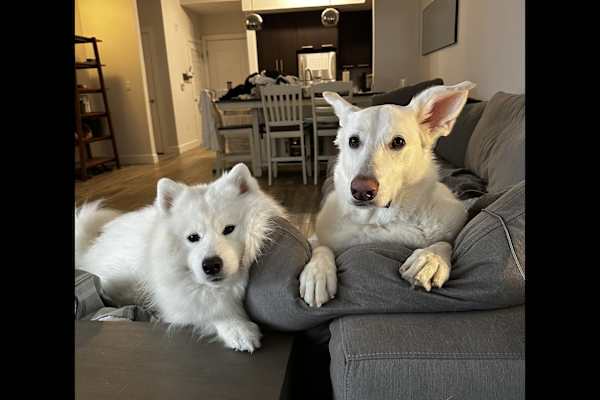 South Miami, Florida, United States