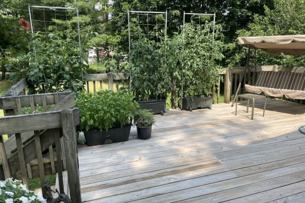 New Paltz, New York, United States