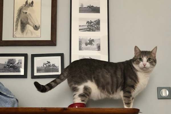 Beaune, Bourgogne-Franche-Comté, France
