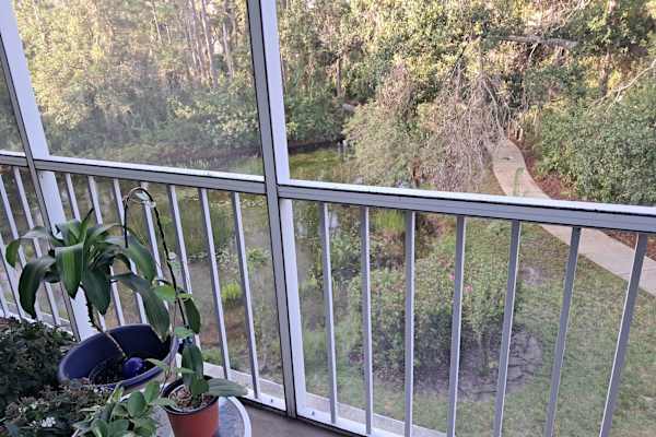 Sarasota, Florida, United States