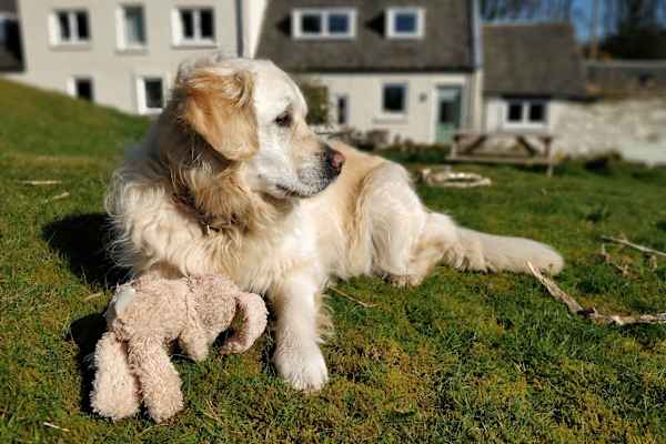 Lochwinnoch, Scotland, United Kingdom