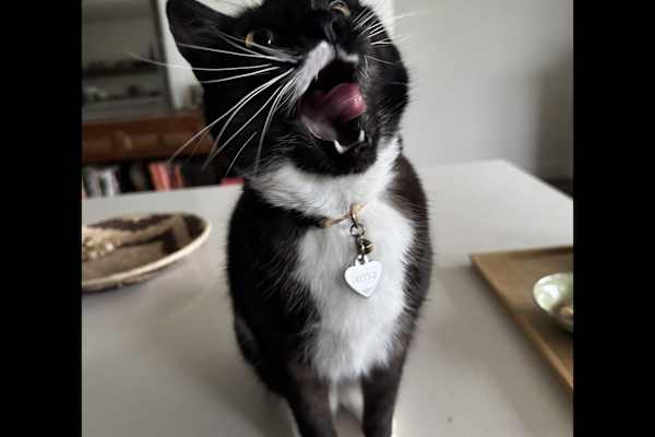 Portland, Oregon, United States