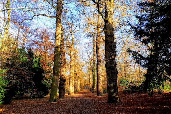 Zeist, Utrecht, Netherlands