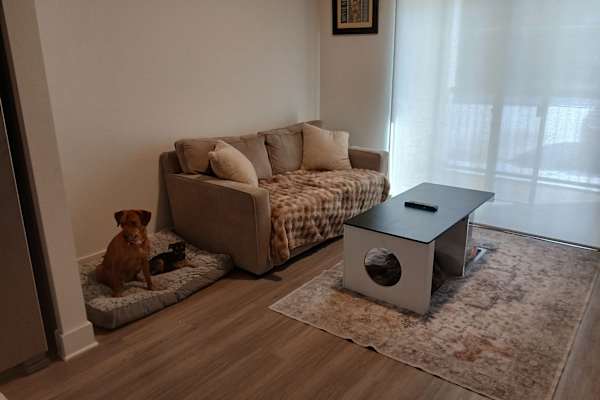 Denton, Texas, United States