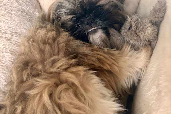 Victoria, British Columbia, Canada