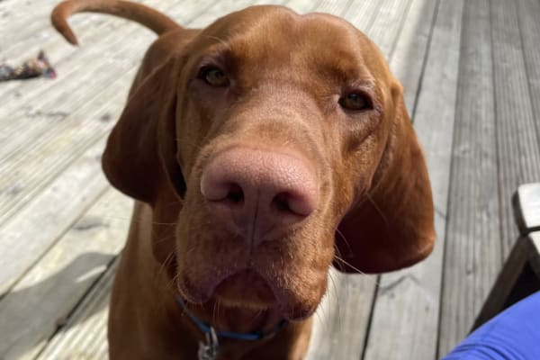 Helensburgh, Scotland, United Kingdom