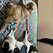 Buderim, Queensland, Australia