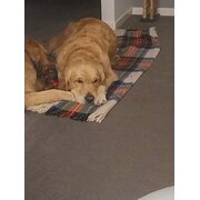 Caboolture South, Queensland, Australia